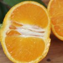 지승농장 이미지