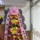 비온디네일 네이버블로그