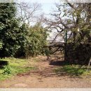 와흘본향당 이미지