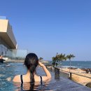 워터하우스 | 아난티 앳 부산 코브 워터하우스 내돈내산 후기(가격,이용시간,꿀팁👌)