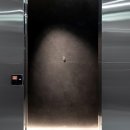 스타쉽엔터테인먼트 카카오 검색결과