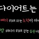 놀이터다이어트클럽