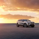 옵틱코리아 이미지