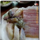 영산포홍어거리 이미지
