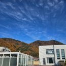 연희재 애견펜션 | 양산애견풀빌라 &lt;연희재애견펜션&gt; 1박 후기