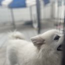 미도자동차공업사 이미지