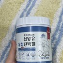 할머니 할아버지 선물 추천 건강식품 시니어단백질 마이리얼고트 산양유 유청 단백질 분말