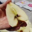 행복꾸러미 팜