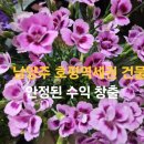 중로1-71 이미지