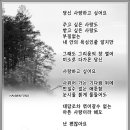 신미향 이미지