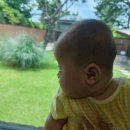 니니스테이 이미지