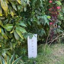 남부다락방 | 오키나와 남부 가족여행 숙소 난조 일본 감성 독채 에어비앤비