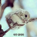 신난쭈꾸미 네이버블로그