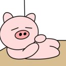 하얀집돈가스 네이버블로그