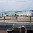 제주함덕청춘어시장 이미지