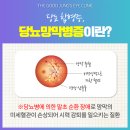 잘보는정안과의원 이미지