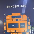 원정수영기: 올림픽 수영장 주말 자유수영 가격 시간 후기