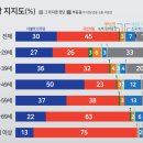 최근 강원도 여론조사 결과.jpg 이미지