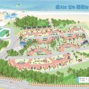 송지호오토캠핑장 이미지