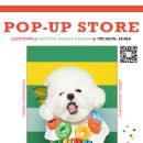 딩가댕가 이미지