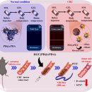 원광대학교 교육대학원 이미지