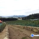 동송농장 이미지