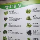 신장승길 네이버블로그