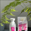 독구리 | GS25 간바레오까상 독구리 잔 세트 32,000원 구성 총정리 엄마, 힘내세요 의미 담은 드라이 가라구치...