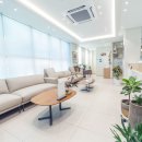 메디플란트치과의원 이미지