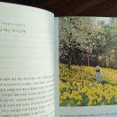 열두달 국내 여행지 추천 & 인생사진 찍기 | 사진작가가 추천하는 국내여행지 꽃길 따라 열두 달 여행
