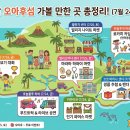 [하와이 여행 정보] 이번 주말 오아후섬 가볼 만한 곳 총정리! (2026년7월 24일~26일) 🌴✨ 이미지