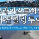 주식회사 힐링투어 네이버블로그