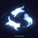 다정세탁소 이미지