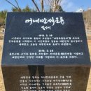 산책하다