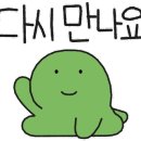 볼빅고양 이미지