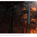 [일반] '축구장 4600개 소실' 산청·하동 산불 원인 제공 70대 기소 이미지