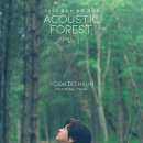 윤도현 Acoustic 콘서트 네이버블로그