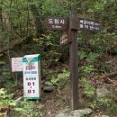 곡성-270 Daum카페