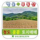 구름부동산중개사무소 이미지