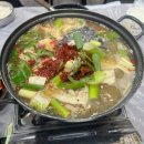 썬 어게인 SUN AGAIN | 💙 가족들이랑 함께 간 울릉도·독도 크루즈 여행 💙