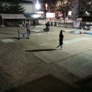 더 펫 애견샾 이미지