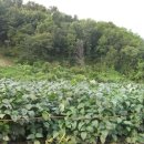 옛고을농장 이미지