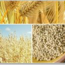 우리스포츠센터(골프) 이미지