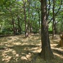 상도근린공원 화장실 이미지