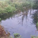 염소목장 이미지