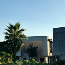 제주라라하우스 이미지