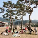 또래 어린이집 | 상록구 일동 어린이집 또래어린이집 방문 후기