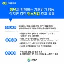 벌교 오충각 네이버블로그