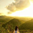 구좌공설묘지 이미지