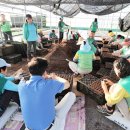 가시리경로당 이미지